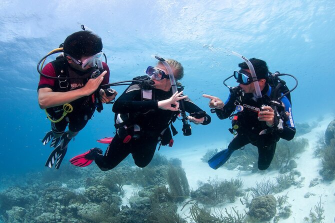 Discover Scuba Diving in Boracay with U/W Photo and Video - Meeting at Boat Station 1 at 9:00 a.m.