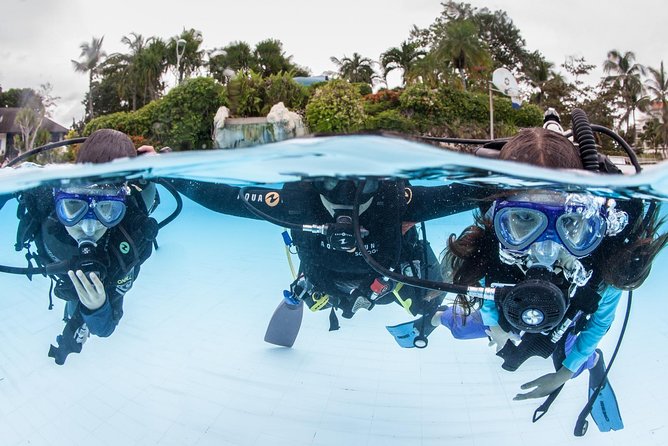 Discover Scuba Diving - What your three hours in Mactan Island look like