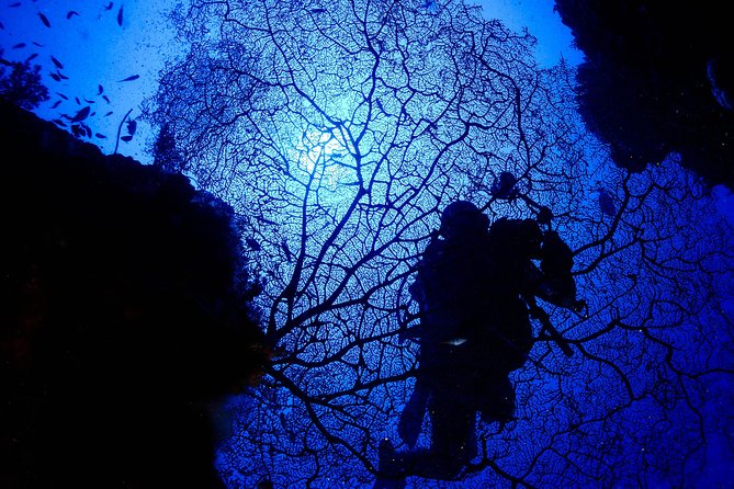 DiveGurus -Scuba Diving in Boracay - Key points for your Boracay scuba session