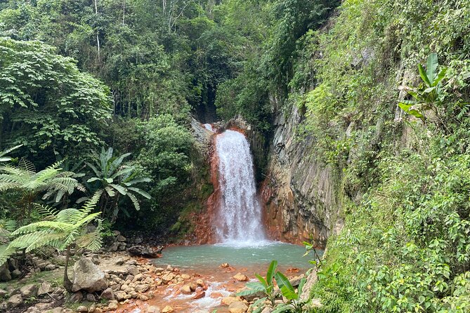 Dumaguete Tours in English - Key things to know before booking