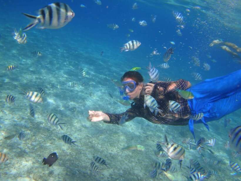 El Nido: Island Hopping Tour A Lagoons and Beaches - Snorkeling: Pretty Water, Uneven Conditions