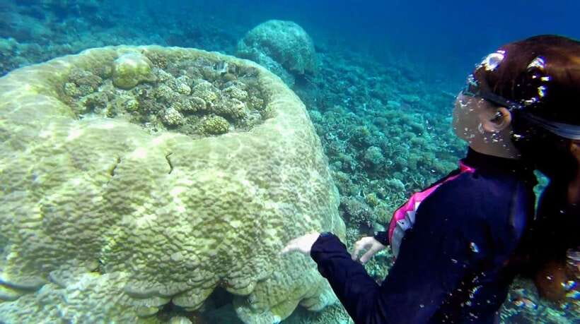 El Nido: Island Hopping Tour B Cudognong Cave & More - The best reasons to choose Tour B