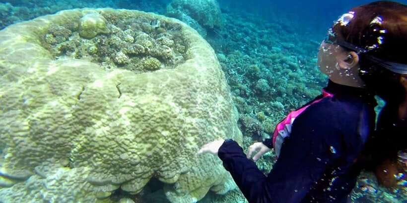 El Nido: Island Hopping Tour B Cudognong Cave & More - Popolkan Beach for swimming and reef life