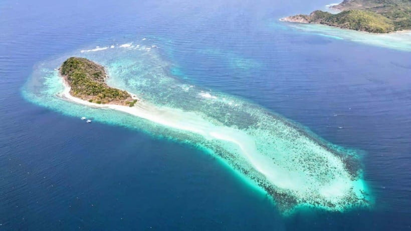 El Nido: Manta Ray Diving Experience in Sibaltan - Second Session: A Pristine Coral Reef