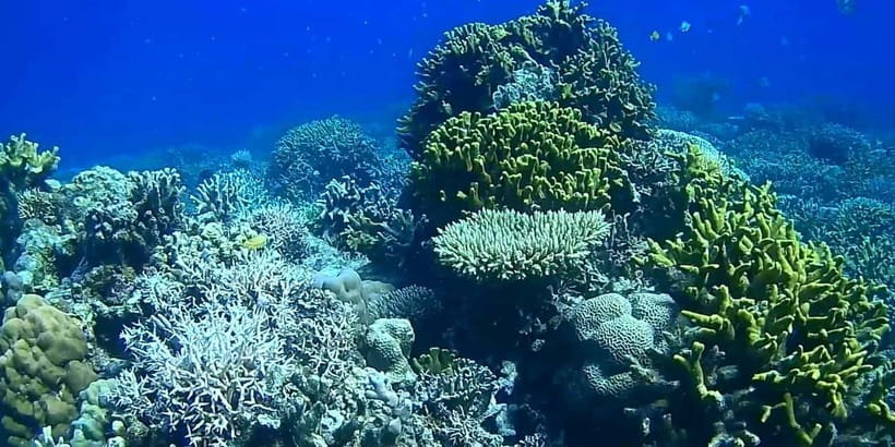 El Nido, Sibaltan: Private Snorkeling & Secret Islands Tour - What the $52 price buys you