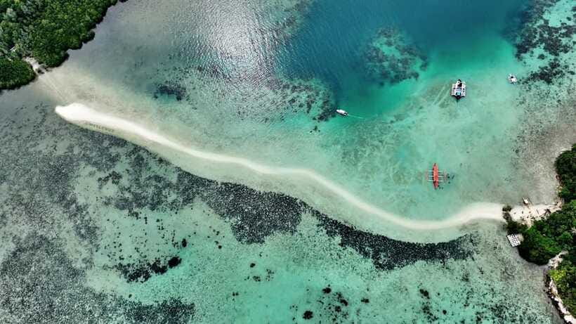 El Nido: Snake Island and Cave Tour with Island Lunch - Boats, meeting points, and the small details that matter