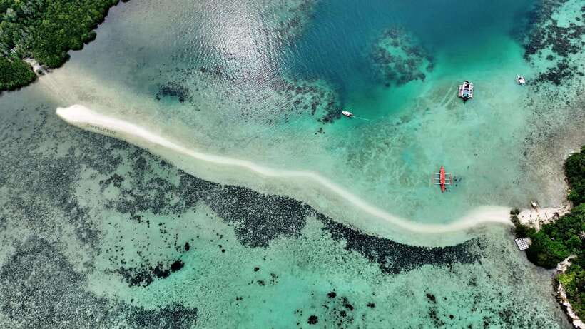 El Nido: Snake Island and Cave Tour with Island Lunch - Snake Island and the famous sandbar