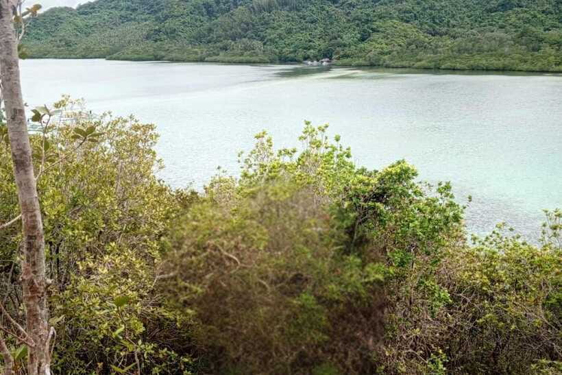 El Nido: Tour B with Snake Island, Cudugnon Cave, and More - What the $25 Price Really Covers