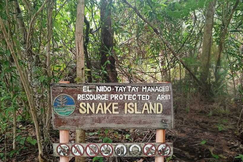 El Nido: Tour B with Snake Island, Cudugnon Cave, and More - Packing for Seven Hours on the Water