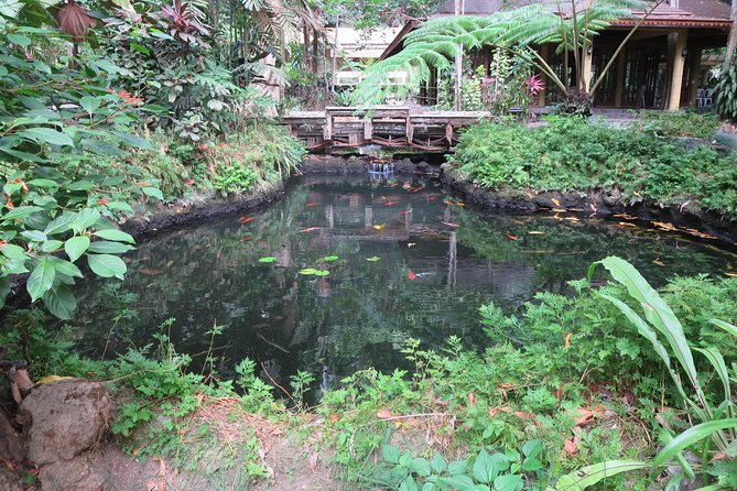 Escape to Enchanting Hidden Valley Springs! with Transfers*** - Filipino lunch adds value to the day