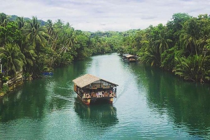 Famous Bohol Chocolate Hills Loboc River Cruise Tarsier Tour - Why this Bohol day tour works