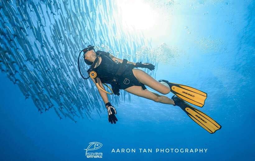 Fisheye Divers: Discover Scuba Diving - Starting from Boracay Stations 1, 2, or 3