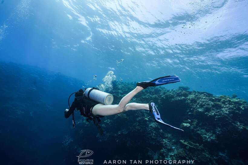 Fisheye Divers: Discover Scuba Diving - Learning the basics before leaving shallow water