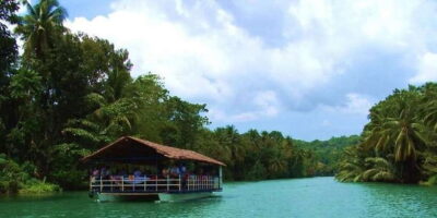From Bohol & Panglao Island: Full-Day Bohol Tour