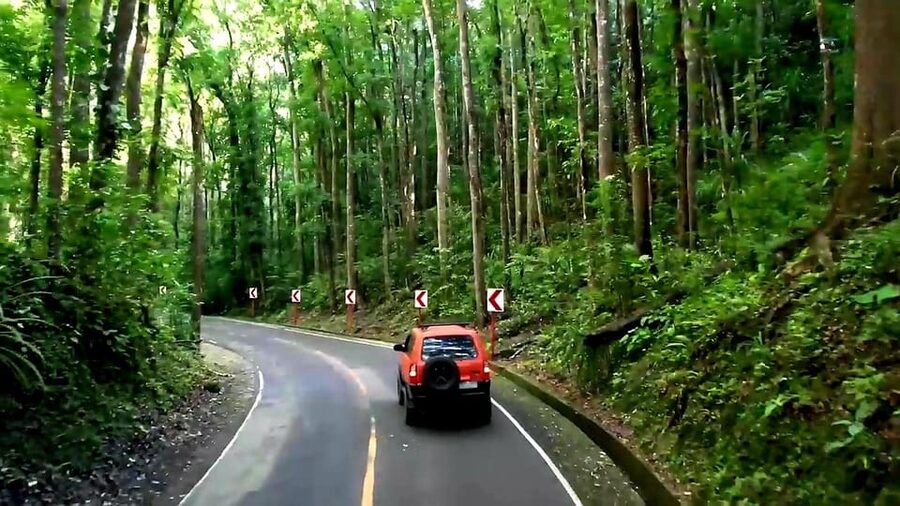From Cebu: Bohol Countryside & Buffet Lunch Exclusive Tour - Mirror of the World adds a playful finish