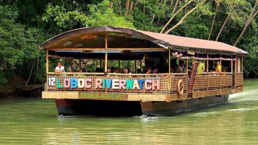 From Cebu: Bohol Countryside Private Tour with Buffet Lunch - Who should book this Bohol tour?