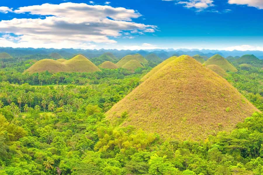 From Cebu: Bohol Countryside Private Tour with Buffet Lunch - The ferry from Cebu to Tubigon