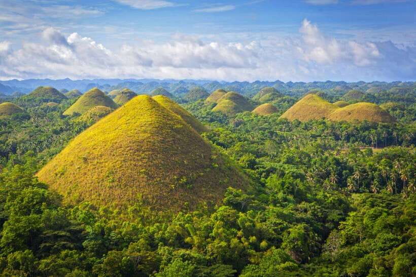 From Cebu City: Bohol Island Highlights in One Day - Is $154 fair for a 14-hour Bohol day?