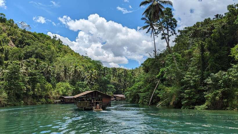 From Cebu City: Bohol Island Highlights in One Day - Meeting Bohol’s tiny tarsiers