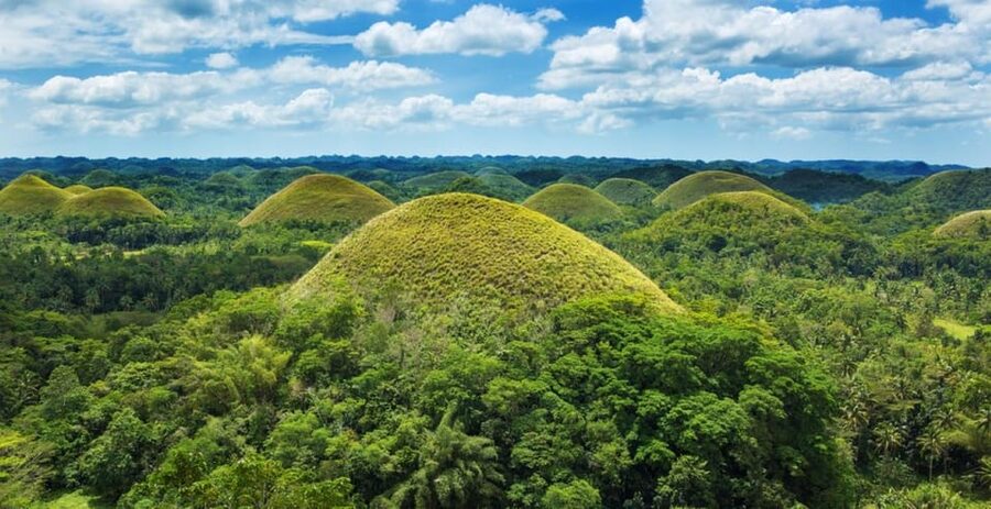 From Cebu City: Bohol Island Highlights in One Day - The two-hour Loboc River cruise and Filipino lunch