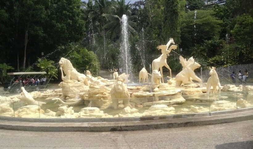 From Cebu City: Cebu Safari and Adventure Park Day Tour - Key points at a glance
