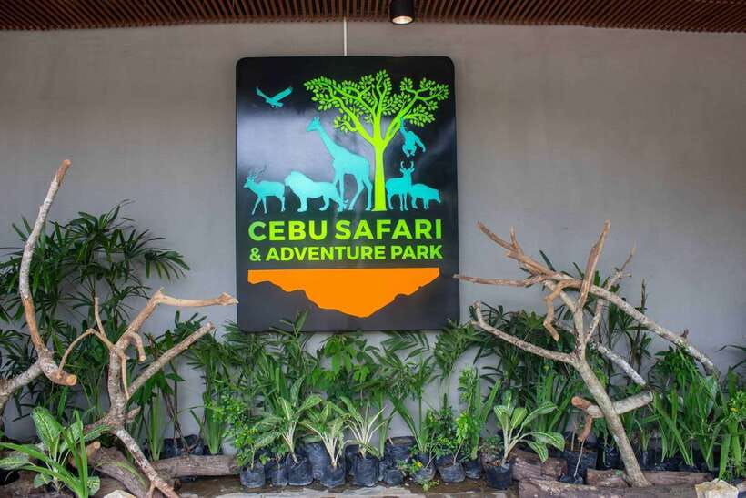 From Cebu City: Cebu Safari and Adventure Park Day Tour - The one-hour ride from Cebu City to Carmen