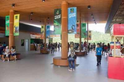 Cebu Safari and Adventure Park Day Tour