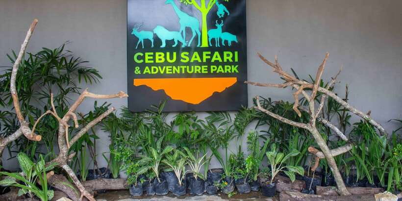 From Cebu City: Cebu Safari and Adventure Park Day Tour - Food, drinks, cash, and the practical details