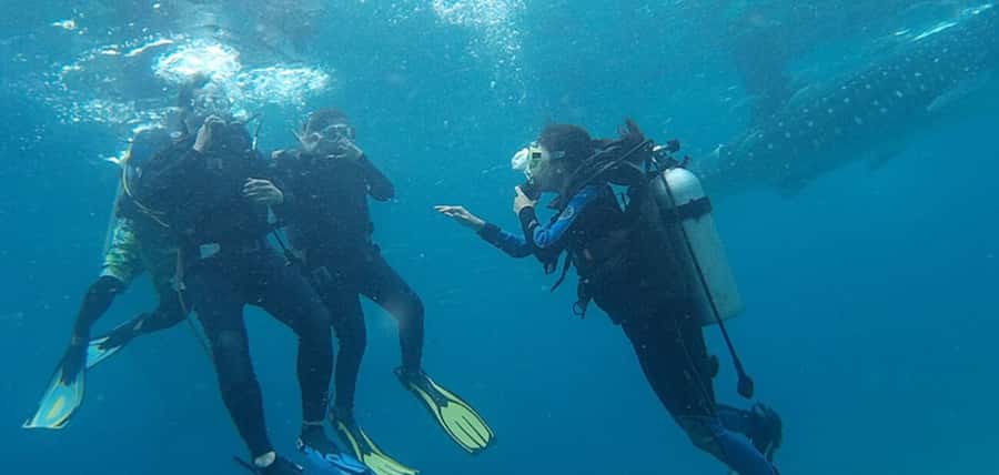 From Cebu City: Scuba Diving with Whale Sharks Trip in Oslob - Orientation before entering the water