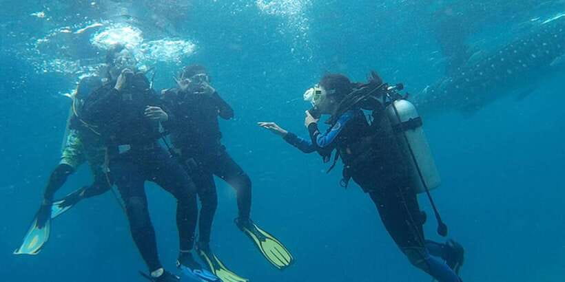 From Cebu City: Scuba Diving with Whale Sharks Trip in Oslob - Is $172 a fair price?