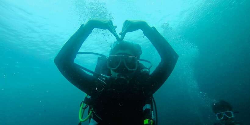 From Cebu City: Scuba Diving with Whale Sharks Trip in Oslob - Who will get the most from this trip?