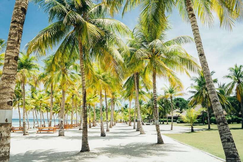 From Cebu: Day Trip to Bohol Highlights - Key points to know before booking