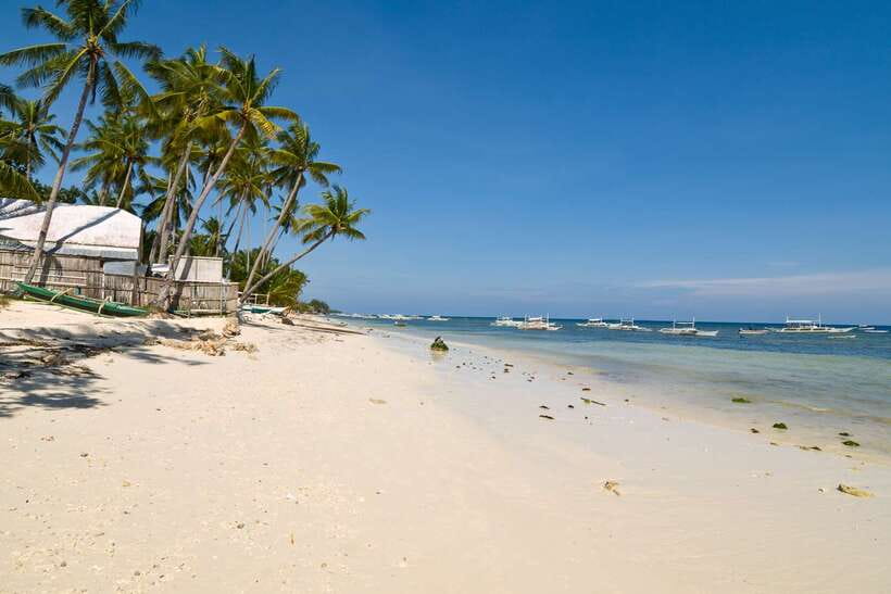 From Cebu: Day Trip to Bohol Highlights - Lunch on the Loboc River
