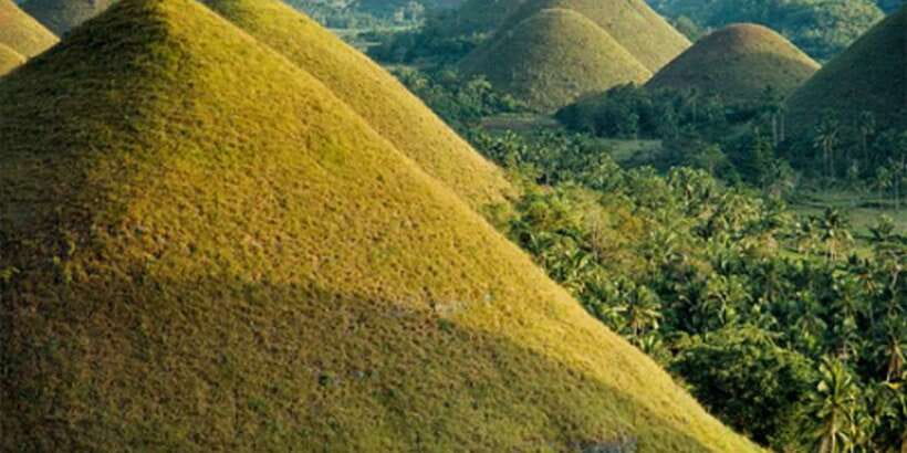 From Cebu: Full-Day Bohol Excursion - Why this Bohol day trip works from Cebu