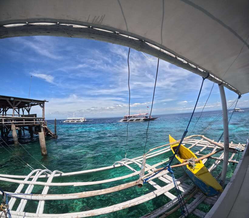 From Cebu: Island Hopping to 3 islands with BBQ lunch - Hilutungan Marine Sanctuary: the best stop for fish