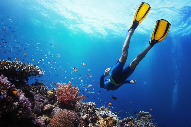 From Cebu: Island Hopping to 3 islands with BBQ lunch - The early hotel pickup and boat transfer