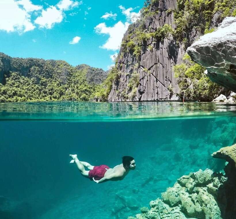 From Coron: Twin Lagoon and Skeleton Wreck Cruise with Lunch - Siete Pecados shows off the reef life