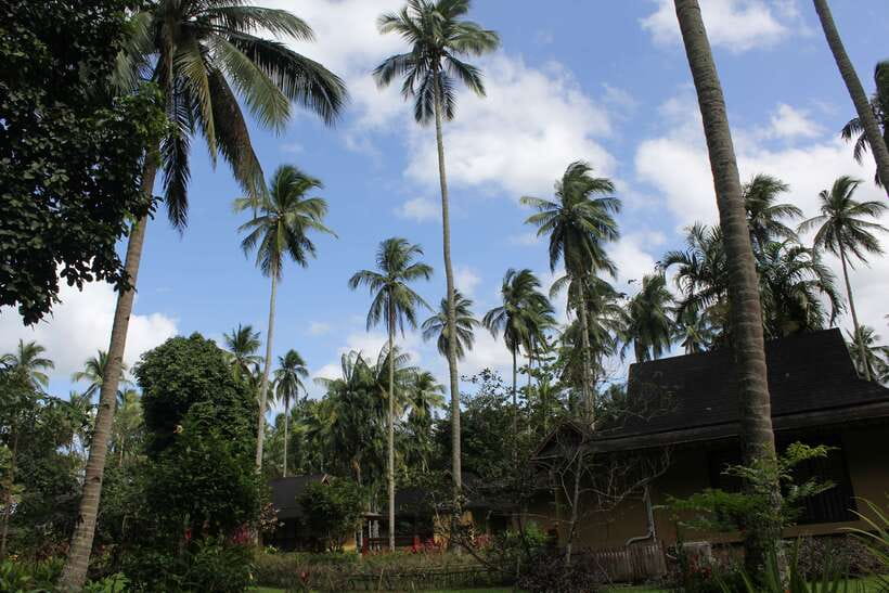 From Manila: Day Tour to Enchanting Hidden Valley - Key points to know before you book