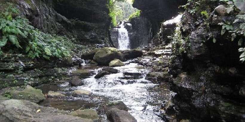 From Manila: Day Tour to Enchanting Hidden Valley - What the guides add to the day