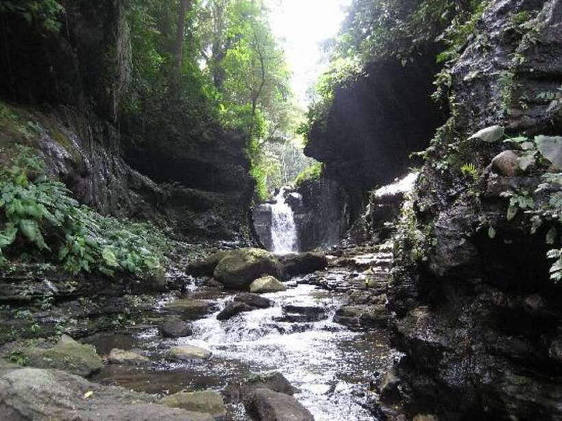 From Manila: Day Tour to Enchanting Hidden Valley - A useful stop at a provincial market