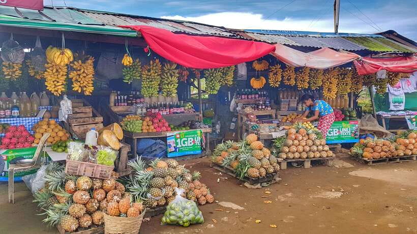 From Manila: Tagaytay Countryside Wonders: A Half-Day Tour - Tagaytay City Fruit Market and Pineapple Country