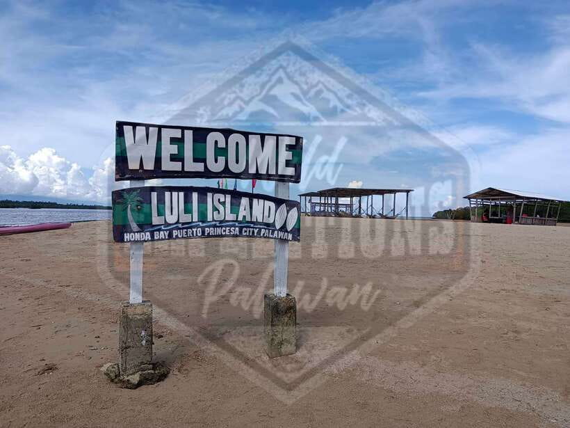 From Puerto Princesa: Honda Bay Island Hopping Full-Day Tour - Starfish Island and the picnic lunch
