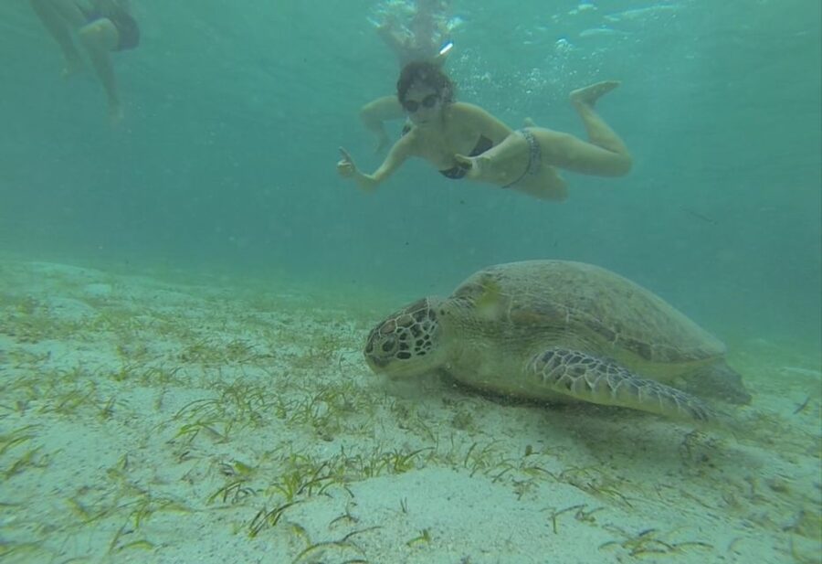From Puerto Princesa: Port Barton & Island Hopping Day Trip - Who will enjoy this day most