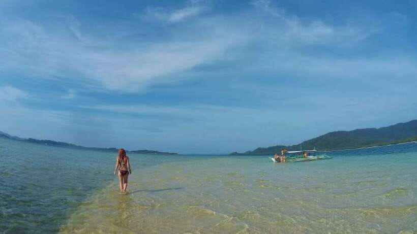 From Puerto Princesa: Port Barton & Island Hopping Day Trip - Turtle Spot and the limits of wildlife promises