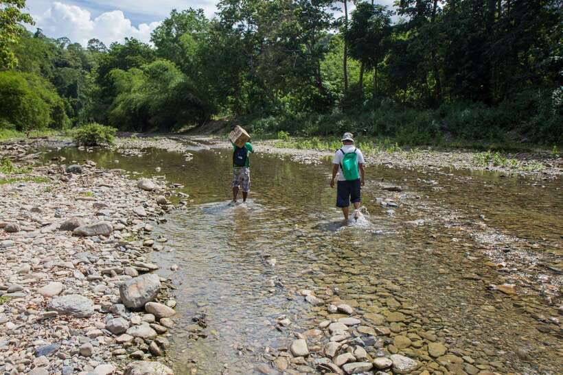 From Puerto Princesa: Trek to Batak Tribe Village - The 75 to 120 minute walk to the village