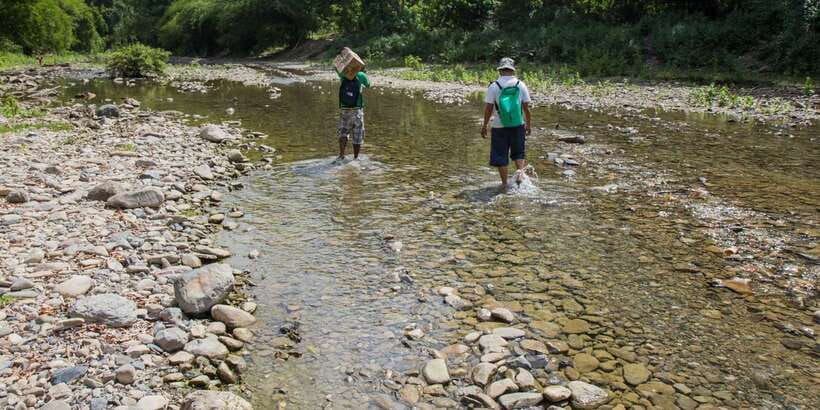 From Puerto Princesa: Trek to Batak Tribe Village - What the guides add to the day
