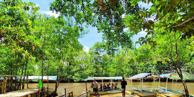 From Puerto Princesa: Underground River Guided Day Trip - Forest, wildlife, and the park’s wider setting