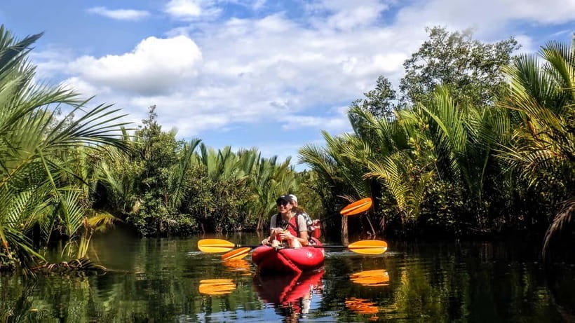 From Tagbilaran City/Panglao Island: Bohol Mangrove Kayaking - Key points to know before you book