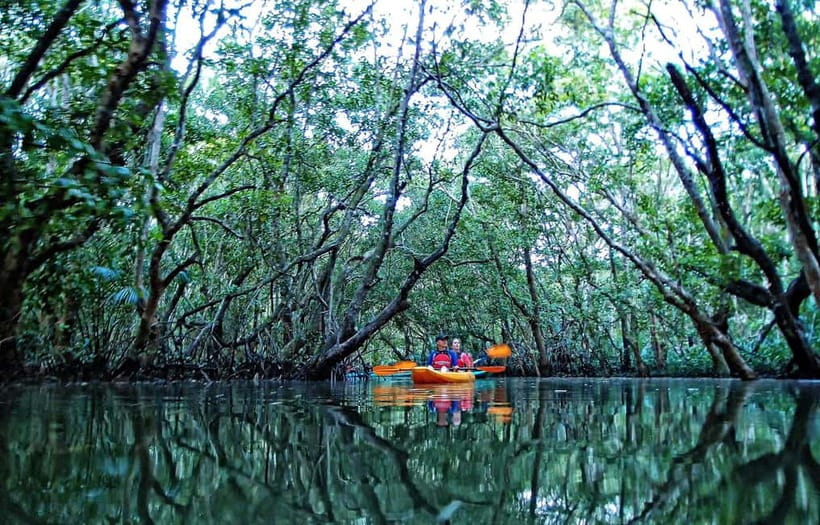 From Tagbilaran City/Panglao Island: Bohol Mangrove Kayaking - Getting comfortable in the kayak