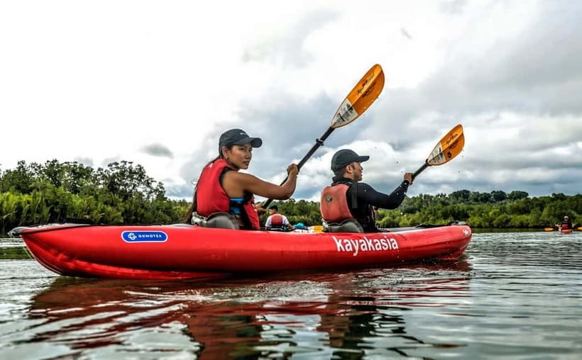 From Tagbilaran City/Panglao Island: Bohol Mangrove Kayaking - Booking advice and cancellation flexibility